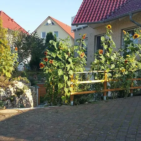 - Gross Schneen Goe 10 Km Appartement Friedland (Lower Saxony)